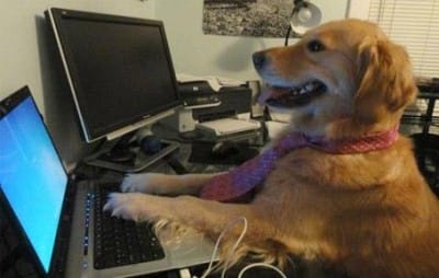 Towards an AI Maturity Ladder for UXR Teams