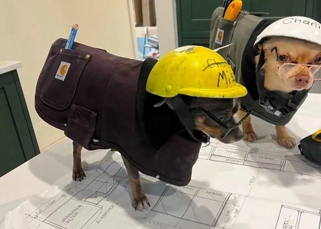 The Dev Orgs Are Restructuring Around AI. What Does This Mean for UXR?